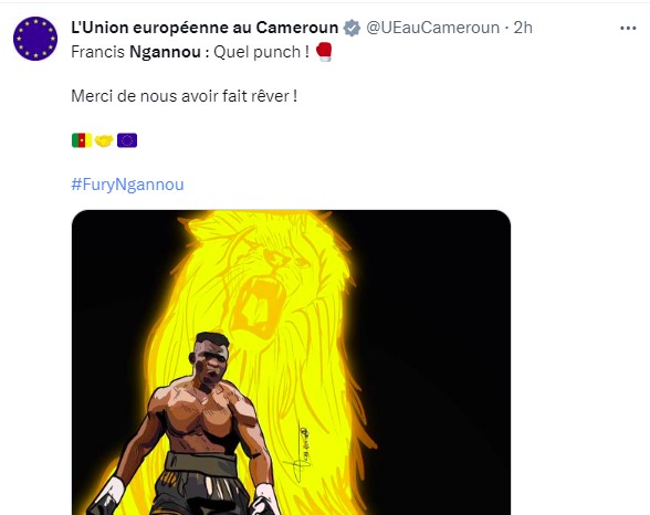 Boxe : La Délégation de l'Union européenne au Cameroun apprécie le « punch » de Francis Ngannou