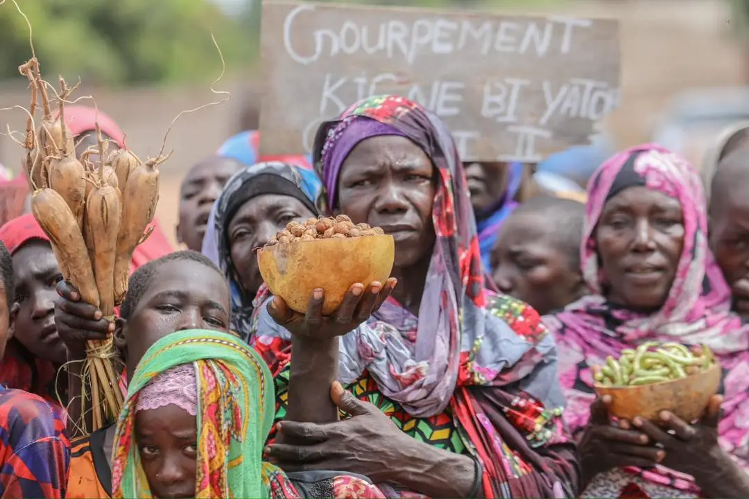 Tchad : infrastructures, eau potable et chômage, les défis des habitants du Mandoul