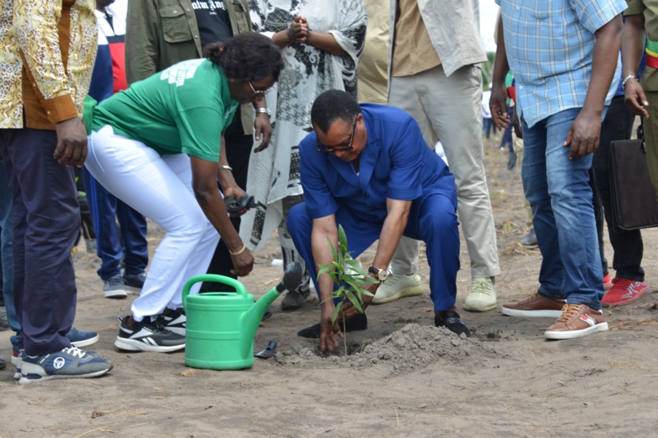 Denis Sassou N'Guesso accomplissant son geste écologique
