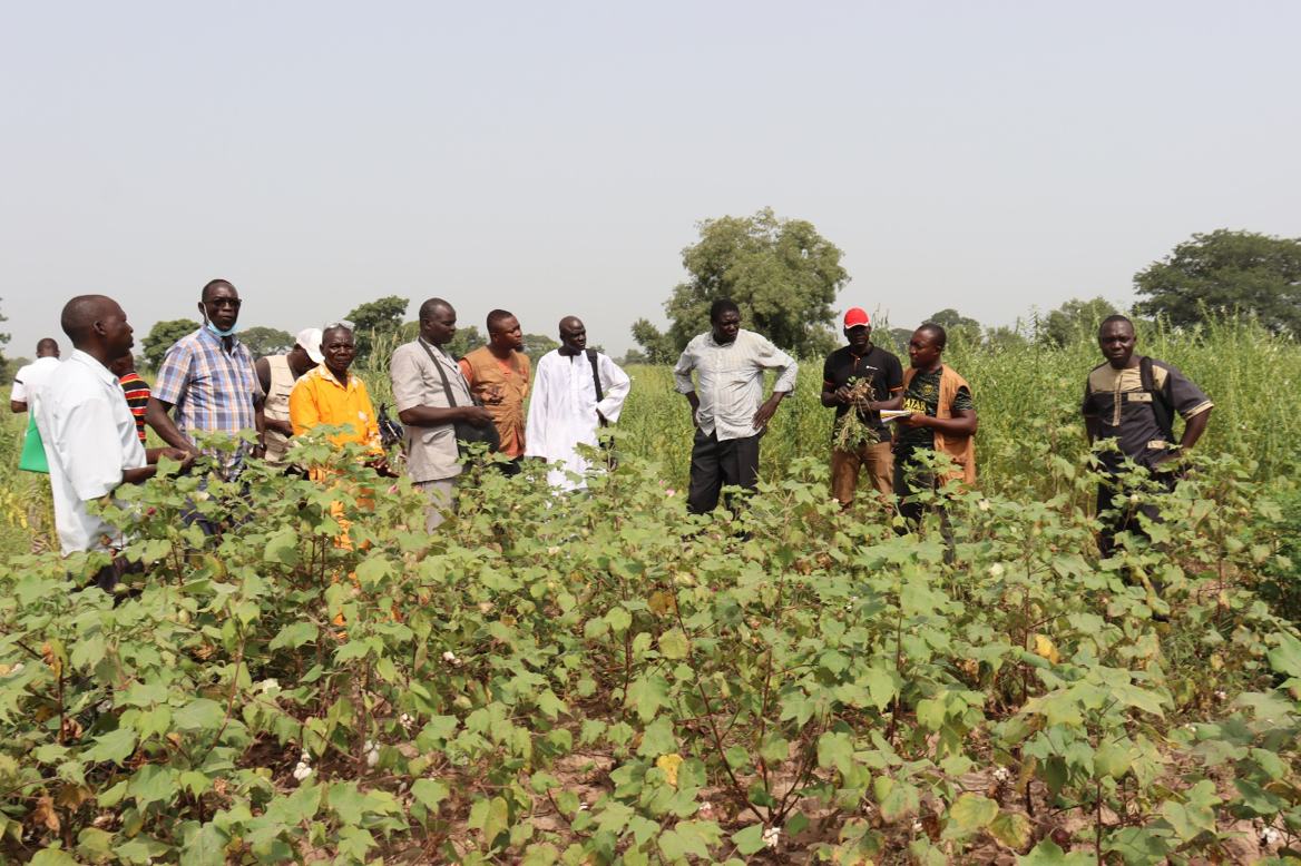 L’équipe des vérificateurs CmiA en plein entretien avec un grand producteur dans son champ.