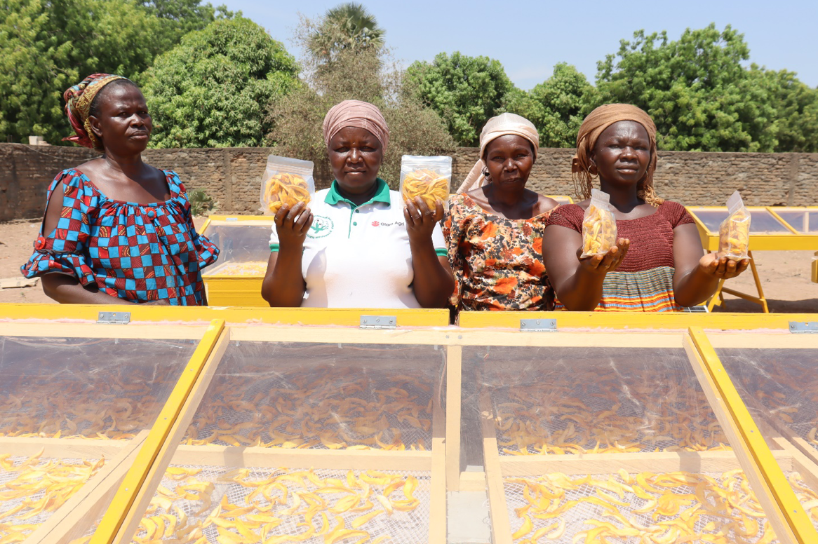 Des groupements de la zone usine de Doba formés en technique de séchage et dotés des séchoirs solaires