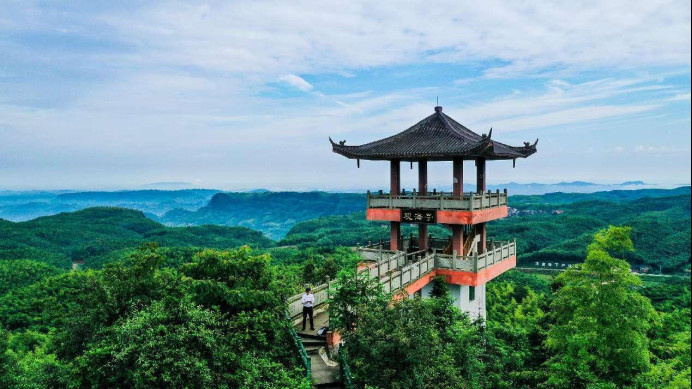 Photo shows a bamboo forest in Baijie township, Naxi district, Luzhou, southwest China's Sichuan province. (Photo by Li Guiping/People's Daily Online)