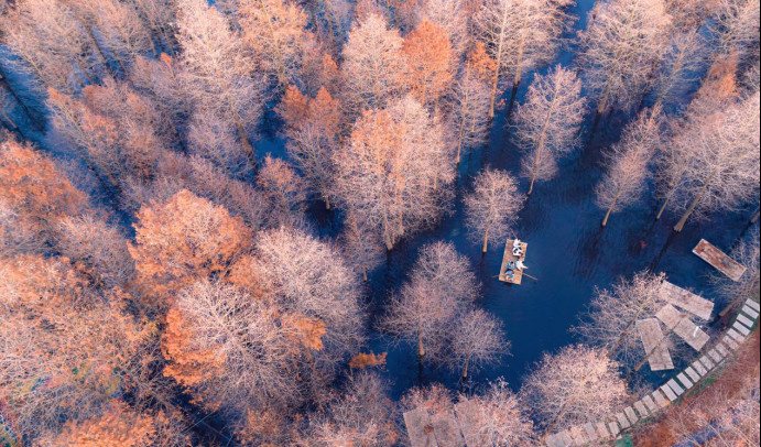 Tourists take a bamboo raft in a metasequoia forest in a forest park in Shuyang county, Suqian, east China's Jiangsu province, Jan. 1, 2024. (Photo by Zhou Yong/People's Daily Online)