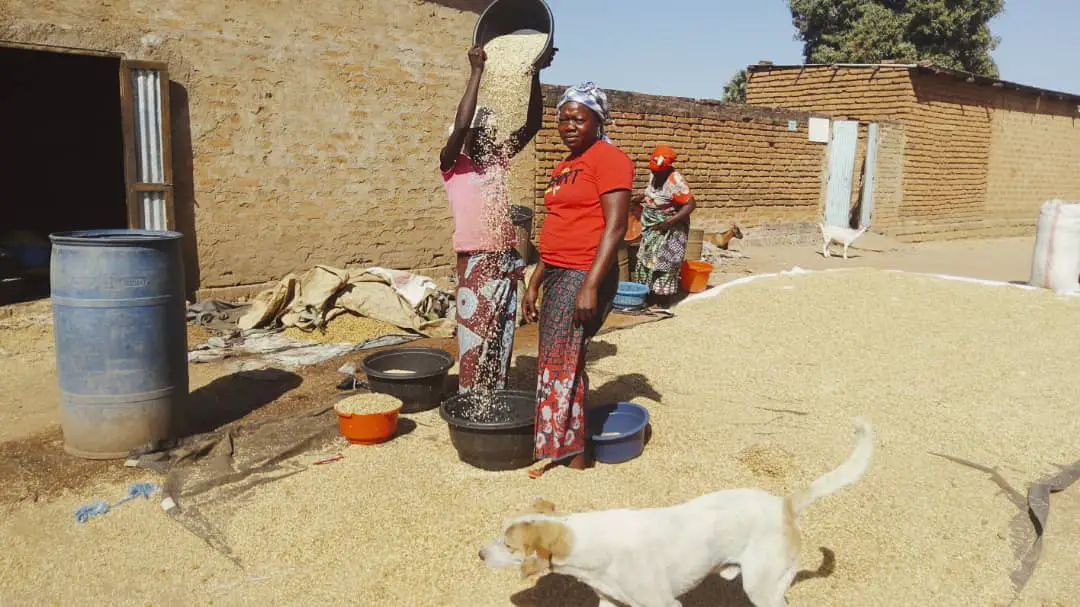 Tchad : Ngarhota Carine joint les deux bouts grâce au commerce de courge à Moundou