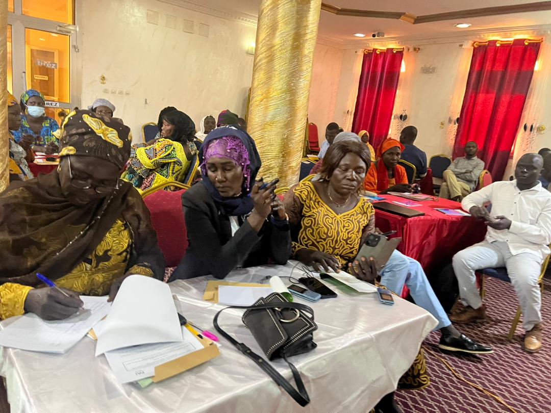 Tchad : la CELlAF et l'OSC organisent un atelier de validation en vue du dossier d’investissement Tchad : la CELlAF et l'OSC organisent un atelier de validation en vue du dossier d’investissement