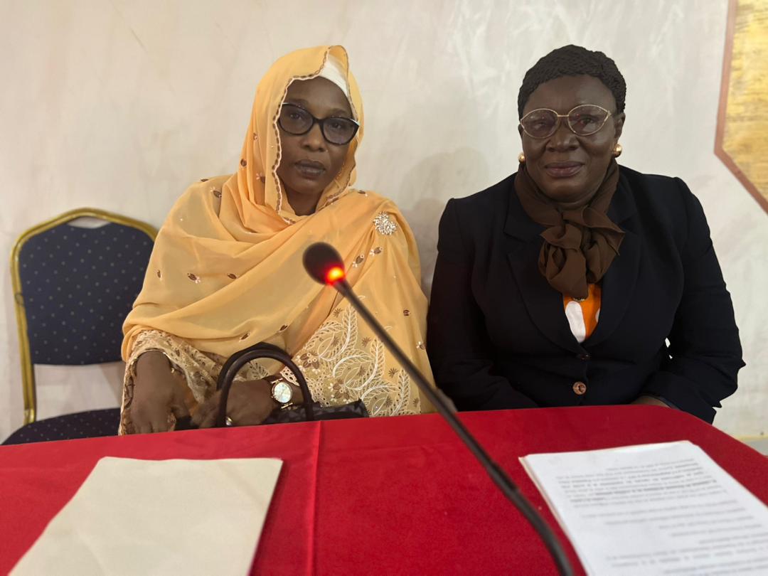 Tchad : la CELlAF et l'OSC organisent un atelier de validation en vue du dossier d’investissement Tchad : la CELlAF et l'OSC organisent un atelier de validation en vue du dossier d’investissement