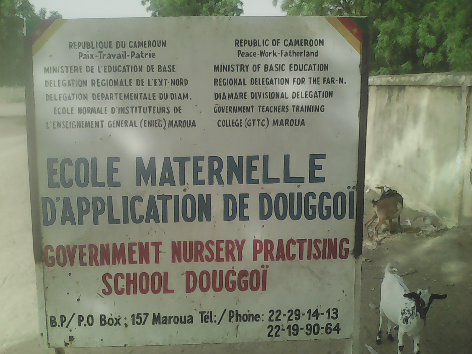 Cameroun : Elle gagne le prix de « meilleur directeur  d’école »