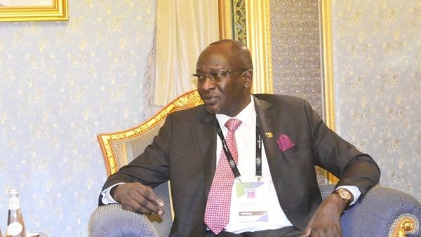 Quels sont les potentiels miniers du Tchad ?