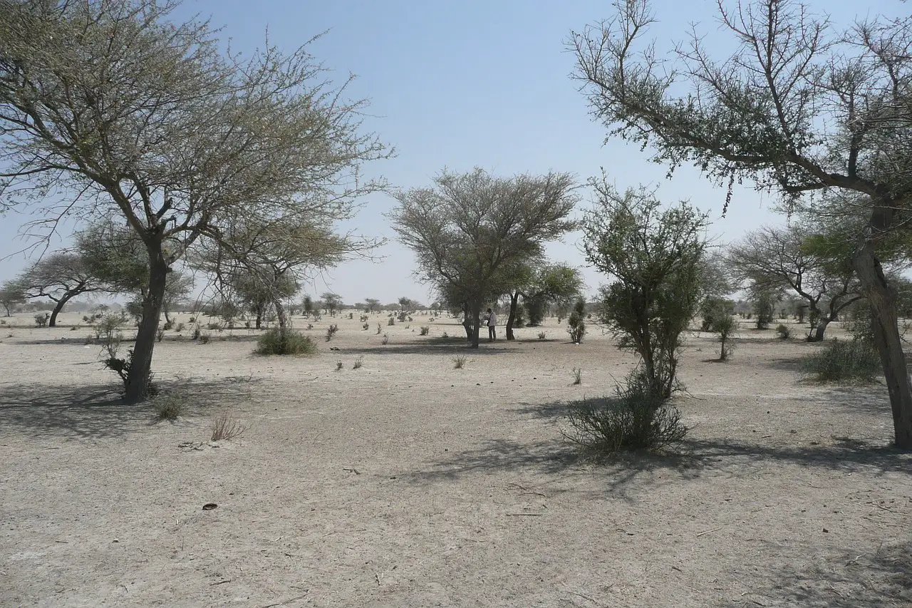 Sahel : des solutions sur mesure face au climat, aux violences et à l'insécurité