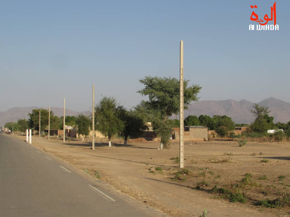 Tchad : arrestation d'un guérisseur pour pratiques dangereuses au Guera