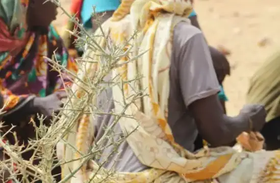 Des réfugiées soudanaises accueillies à l'Est du Tchad. Illustration © Djibrine Haïdar/Alwihda Info