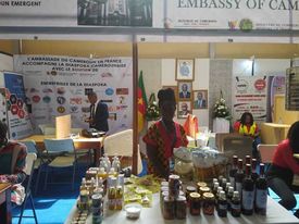 Salon PROMOTE : la diaspora camerounaise de France à Yaoundé