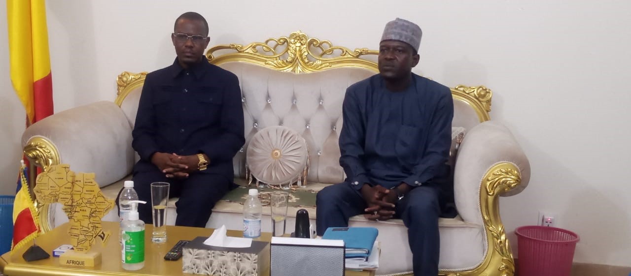 Tchad : le renforcement du système sanitaire du Hadjer Lamis au centre d’échanges