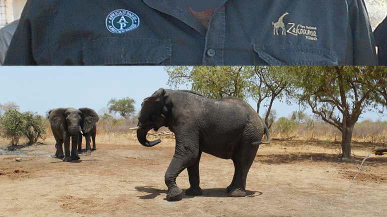 Tchad : les employés du Parc national de Zakouma en grève Tchad : les employés du Parc national de Zakouma en grève