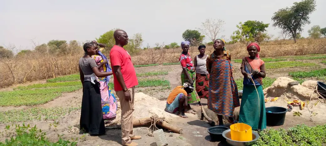 Lutte contre la pauvreté au Tchad : L'agriculture maraîchère par les femmes à Kairati