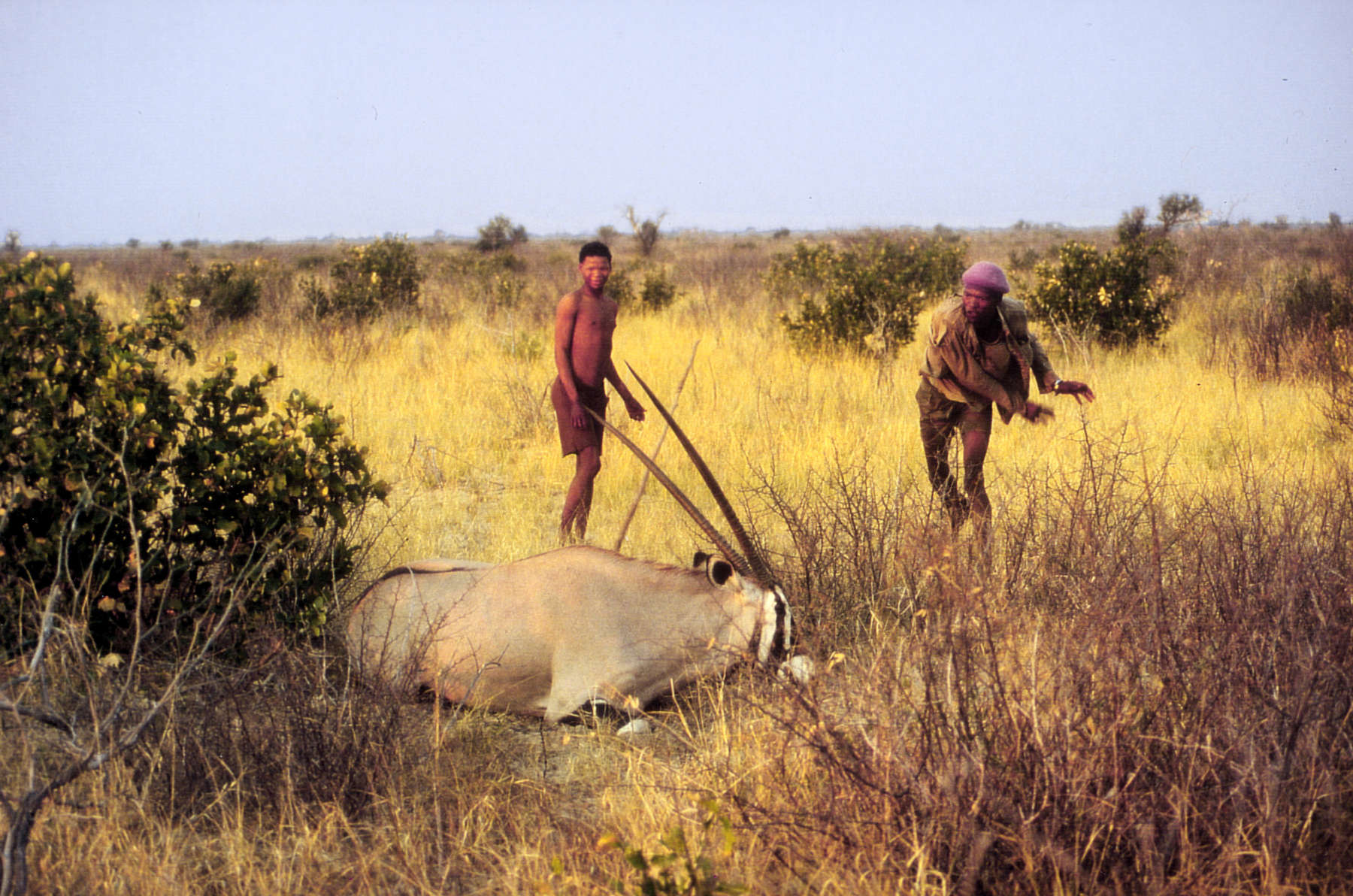 Botswana : le président s'oppose à l'interdiction de la chasse pour les touristes
