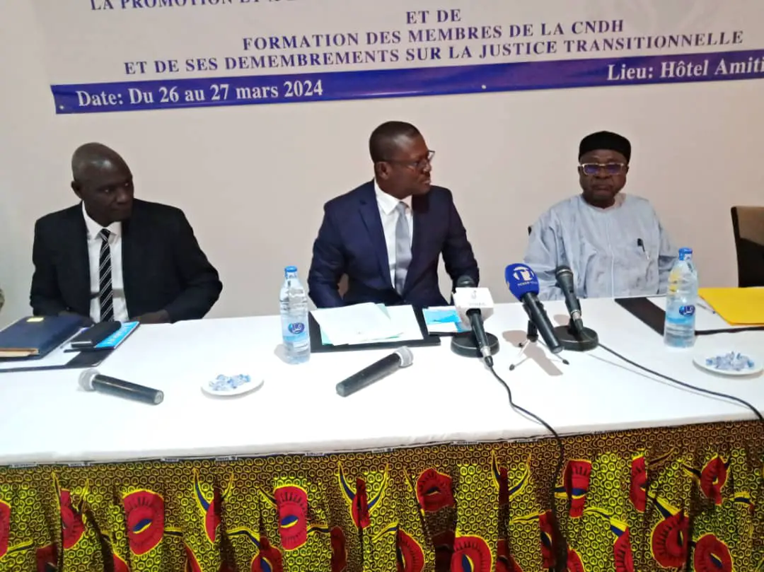 Tchad : le HCDH et PNUD forment les membres de la CNDH