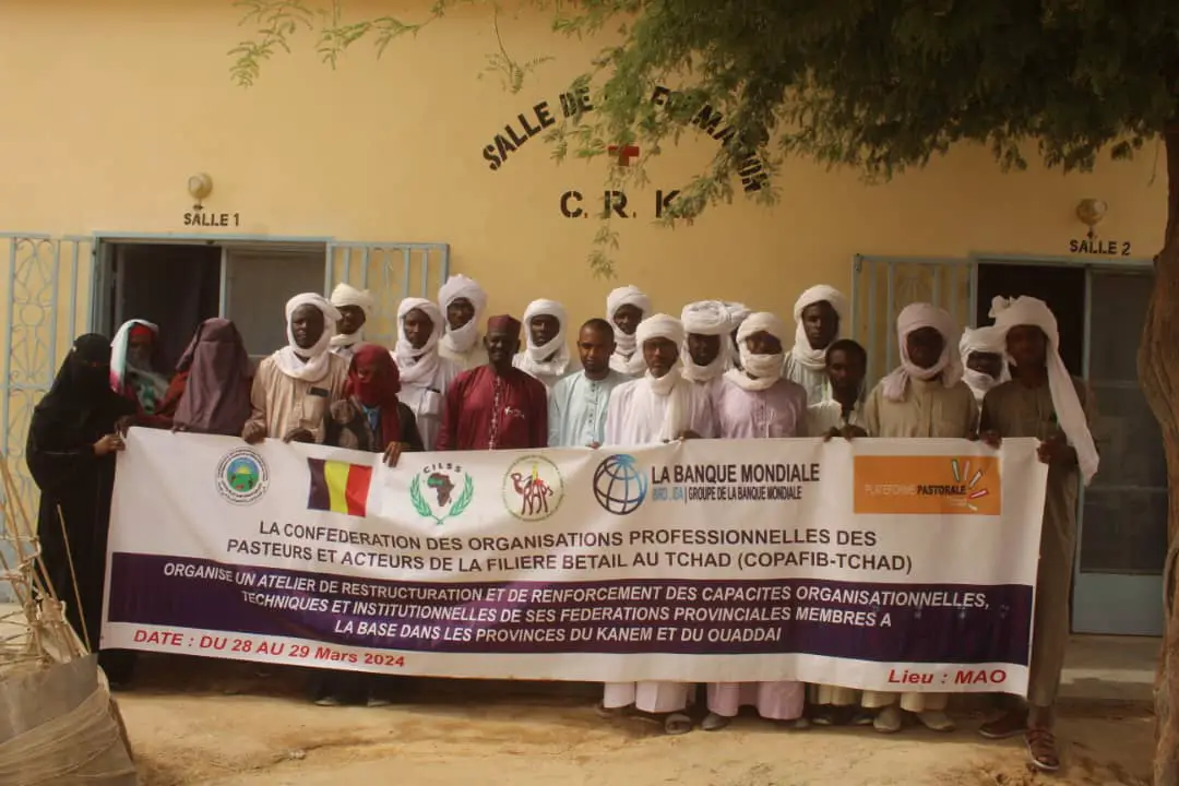 Tchad : le renforcement des capacités des éleveurs au centre d'un atelier au Kanem