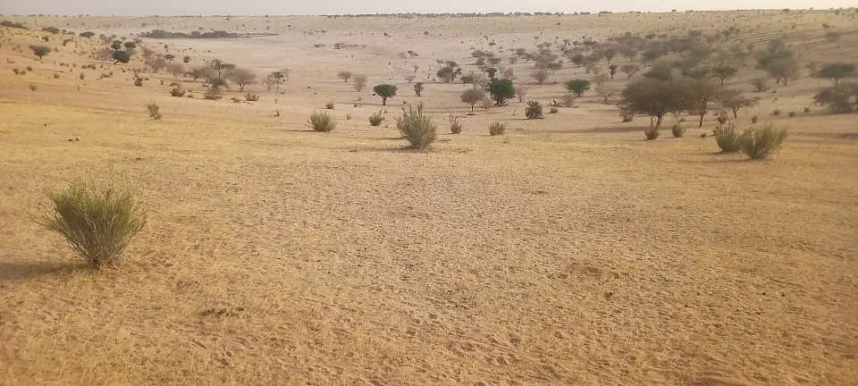 Tchad : ​Mao, une ville menacée par le ravin et l'avancée du désert