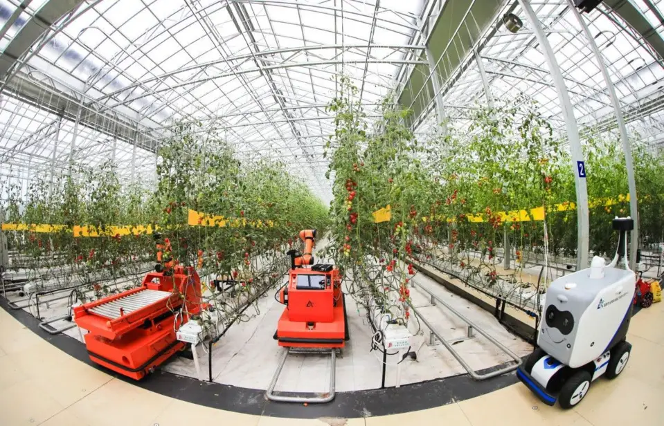Photo shows an intelligent greenhouse in Shouguang, east China's Shandong province. (Photo courtesy of the official WeChat account of the publicity department of the Shandong Provincial People's Government)