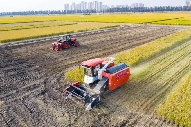 An unmanned harvester works in the field. (Photo from the official account of the East China Agri-Tech Center, Chinese Academy of Agricultural Sciences on WeChat)