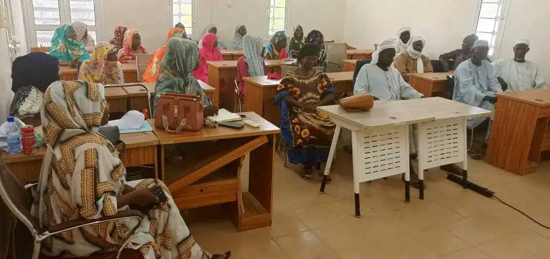 Tchad : atelier d’auto-évaluation des subventions de l’AFOPE à Mongo