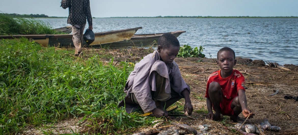 UNICEF / Tremeau Des enfants préparent du poisson fraîchement pêché dans le village de Tagal, dans la bassin du lac Tchad, au Tchad. UNICEF / Tremeau Des enfants préparent du poisson fraîchement pêché dans le village de Tagal, dans la bassin du lac Tchad, au Tchad.