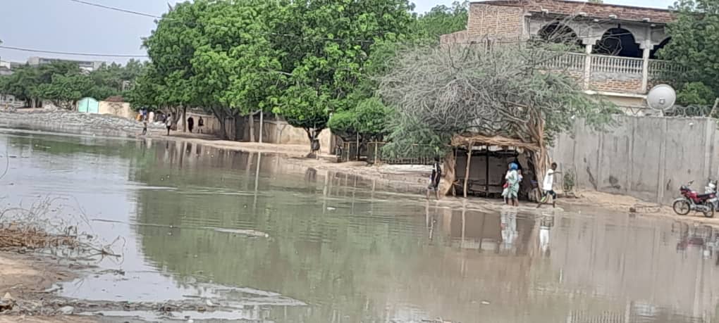 Tchad : la ville de N'Djamena a enregistré une grosse pluie accompagnée d'un vent violent
