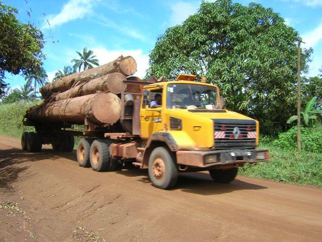 Un camion transportant des grumes au Cameroun. Un camion transportant des grumes au Cameroun.