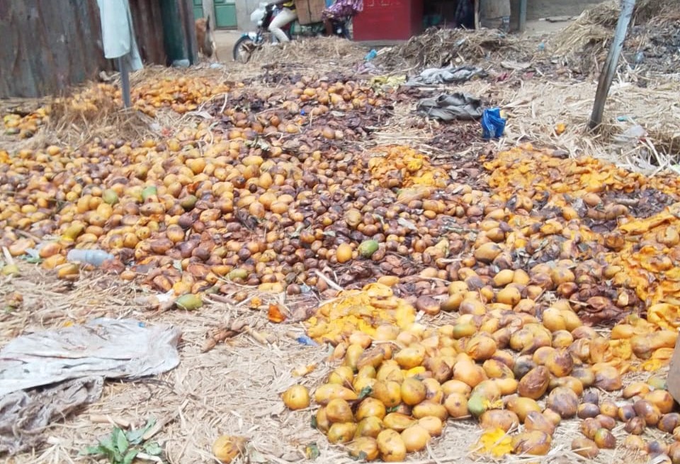 Tchad : le manque d'unités de transformation des fruits contribue au gaspillage Tchad : le manque d'unités de transformation des fruits contribue au gaspillage