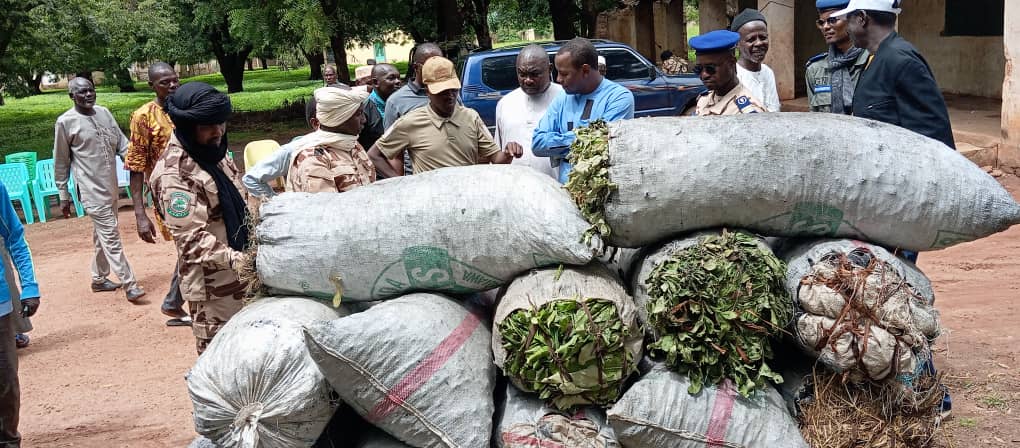 Tchad : la Garde forestière et faunique renforce ses efforts à Kélo Tchad : la Garde forestière et faunique renforce ses efforts à Kélo