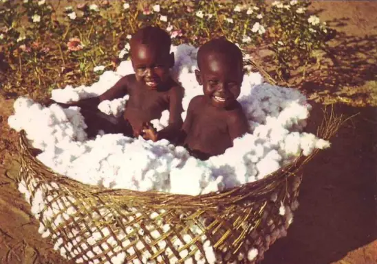 Des enfants dans un panier rempli de coton, au Tchad. Crédits: Delcampe.net