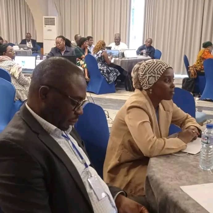 Rattrapage de dépistage du VIH : le Tchad prend part aux travaux des pays francophones à Lomé Rattrapage de dépistage du VIH : le Tchad prend part aux travaux des pays francophones à Lomé