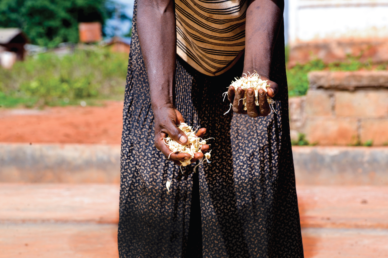 Illustration © DR Illustration © DR