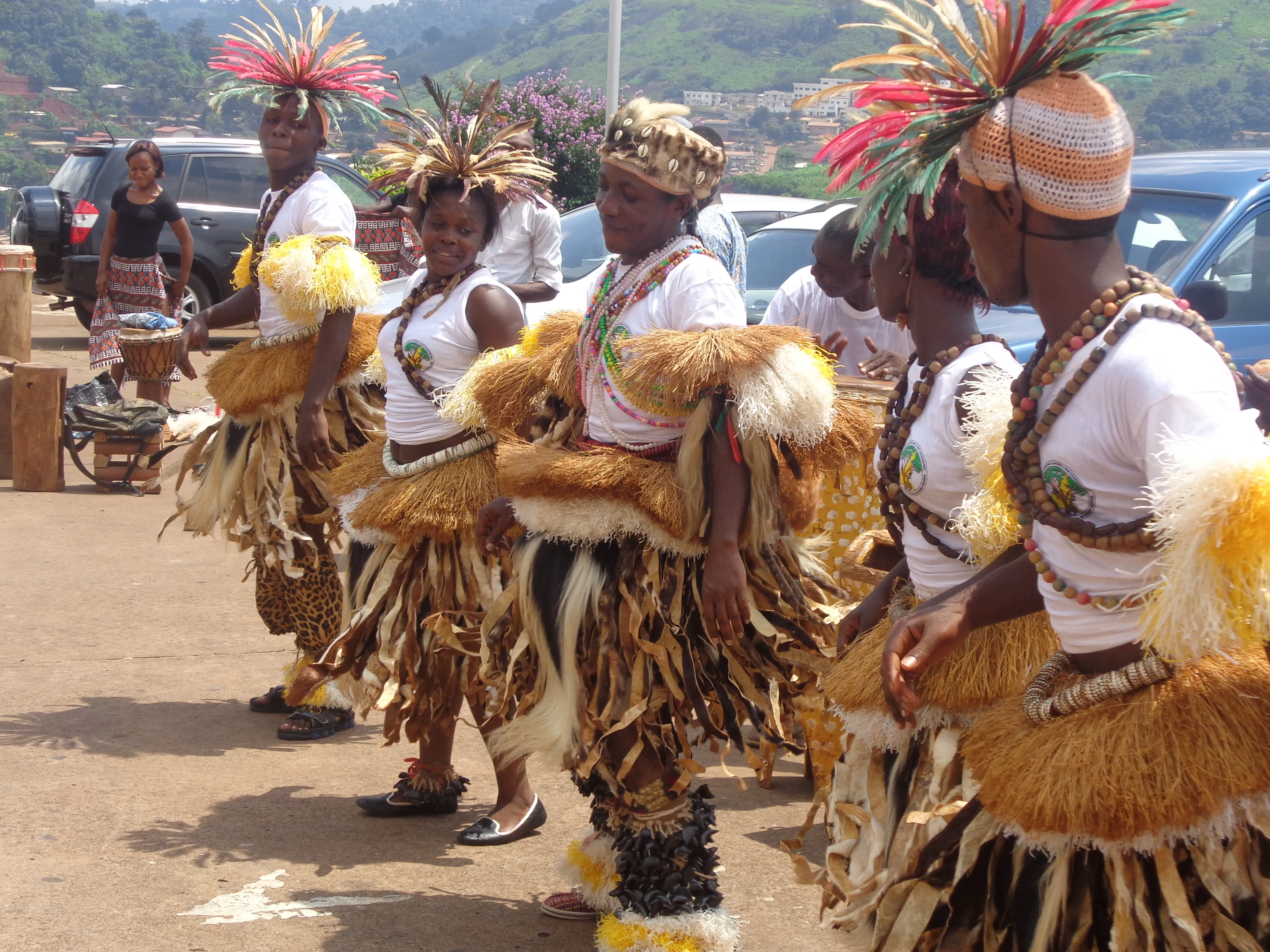 Cameroun:Les stars qui seront au  "Festi bikutsi" 2015