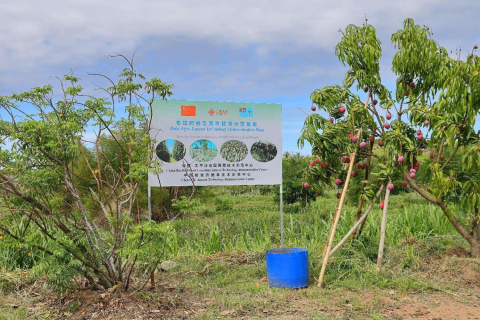 Photo shows the Bula Agro Juncao technology demonstration base. (Photo by Bai Yuanqi/People's Daily)