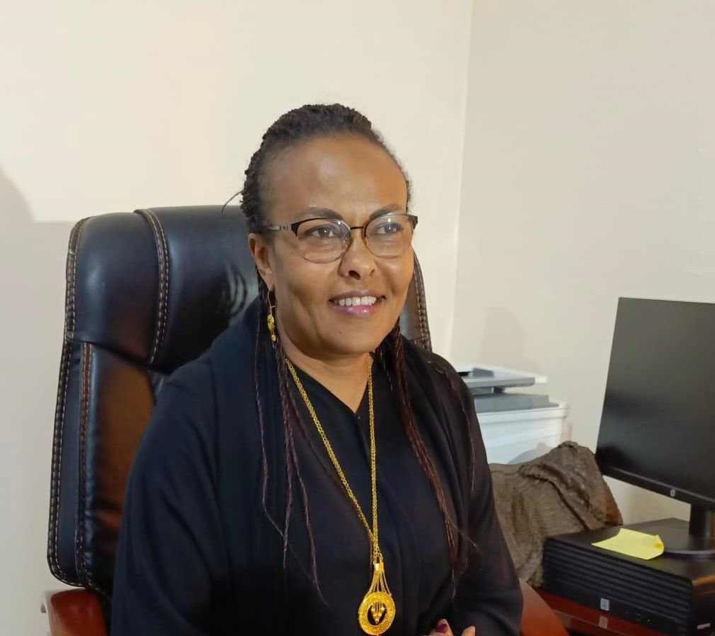 Tchad : SONEXHO, une réforme nécessaire pour redresser le Radisson Blu Tchad : SONEXHO, une réforme nécessaire pour redresser le Radisson Blu