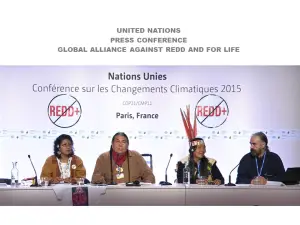Indigenous Rights on Chopping Block of UN COP21 Paris Climate Accord