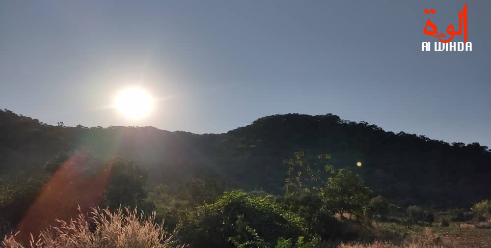 Tchad : 35 morts et six blessés dans un violent affrontement au Sud (gouvernement) Tchad : 35 morts et six blessés dans un violent affrontement au Sud (gouvernement)