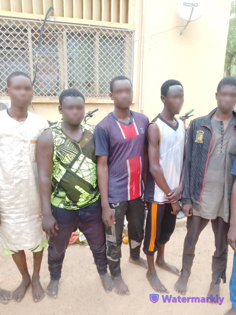 Cameroun - Garoua : Opération de police coup de filet au quartier Souari Dépôt