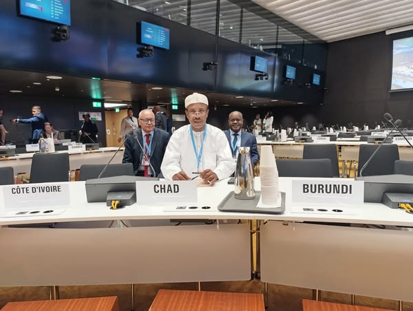 Suisse : Une imposante délégation tchadienne à la 78ème Assemblée Mondiale de la Santé Suisse : Une imposante délégation tchadienne à la 78ème Assemblée Mondiale de la Santé