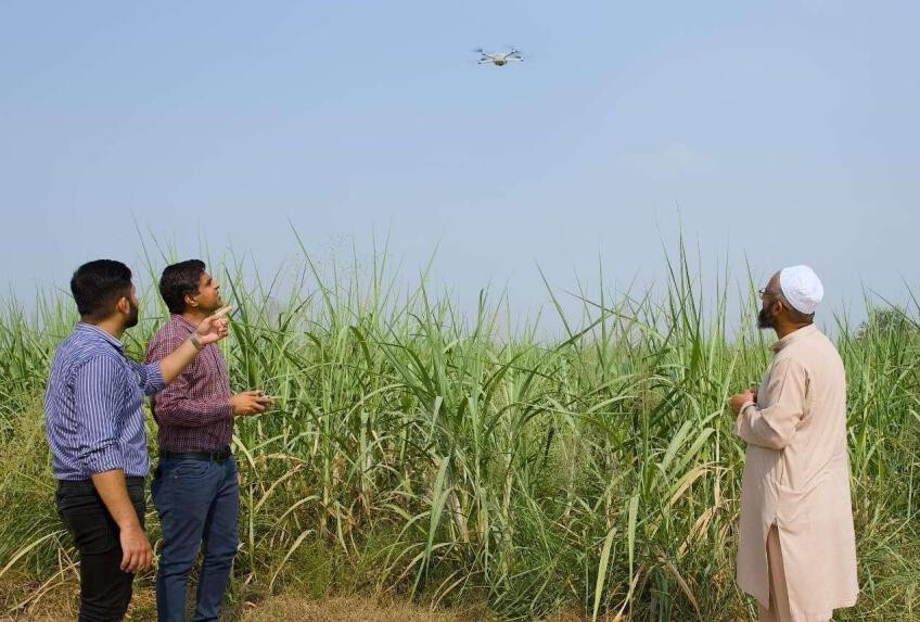 Researchers at a China-Pakistan AI smart agriculture laboratory use drones for regular field inspections. Through AI-powered analysis, real-time feedback on crop growth is provided to farmers. (Photo by Syed Mehdi/People's Daily) Researchers at a China-Pakistan AI smart agriculture laboratory use drones for regular field inspections. Through AI-powered analysis, real-time feedback on crop growth is provided to farmers. (Photo by Syed Mehdi/People's Daily)