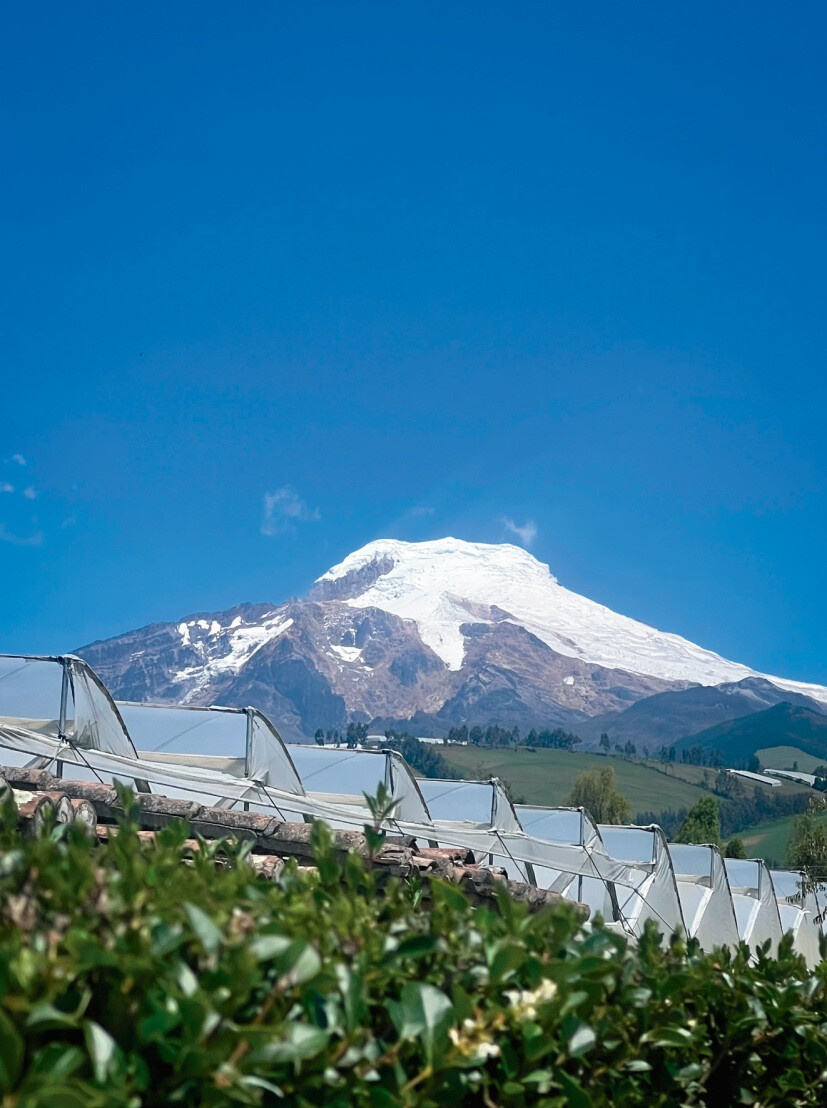 Photo shows a distant view of Hoja Verde, a rose farm in Ecuador. (Photos by Joselyn Gutiérrez)