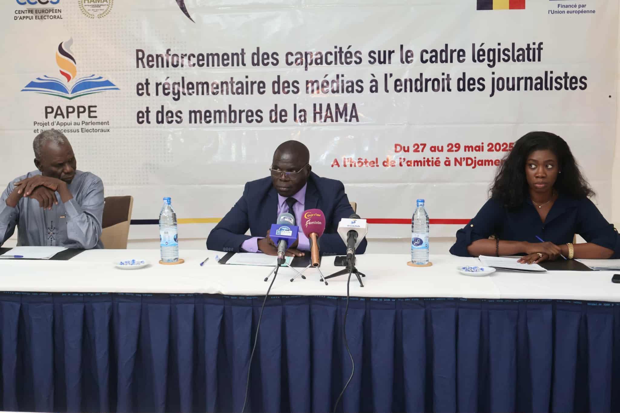 Tchad : le PAPPE renforce les capacités des médias sur le cadre législatif et réglementaire Tchad : le PAPPE renforce les capacités des médias sur le cadre législatif et réglementaire