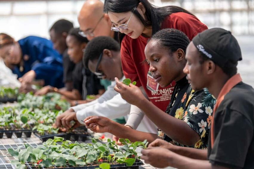 China, Africa working together toward dream of modernization China, Africa working together toward dream of modernization