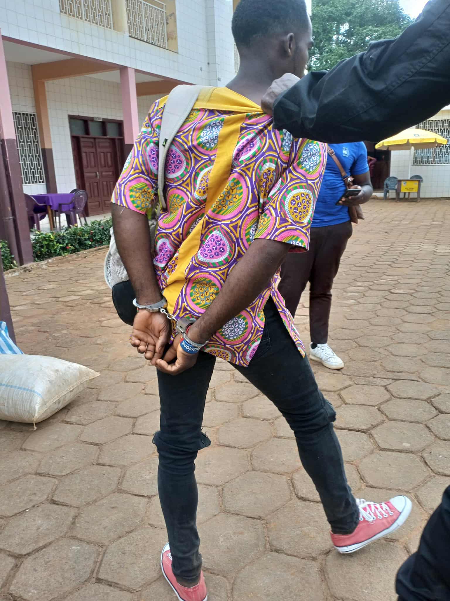 Cameroun :  trois trafiquants devant le tribunal pour commerce illégal d'écailles de pangolins à Ntui Cameroun :  trois trafiquants devant le tribunal pour commerce illégal d'écailles de pangolins à Ntui