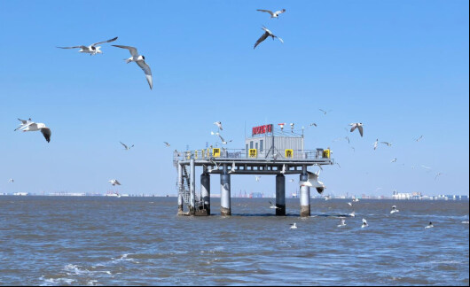 Photo shows a smart offshore seagrass bed monitoring platform in Caofeidian, Hebei province. (Photo courtesy of the Department of Natural Resources of Hebei Province)