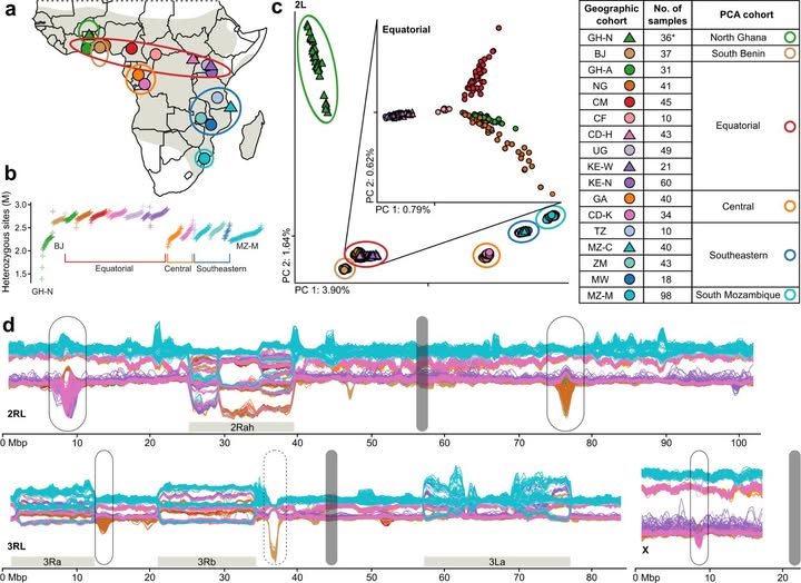 Image : L’Institut Pasteur de Bangui Image : L’Institut Pasteur de Bangui