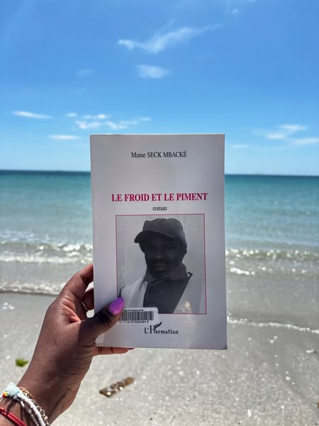 Le Froid et le piment : Un témoignage poignant sur la vie des immigrés africains en France Le Froid et le piment : Un témoignage poignant sur la vie des immigrés africains en France