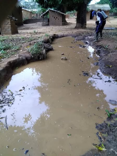 Centrafrique : À Batangafo, l'Institut Pasteur et MSF luttent contre le paludisme avec une approche innovante Centrafrique : À Batangafo, l'Institut Pasteur et MSF luttent contre le paludisme avec une approche innovante